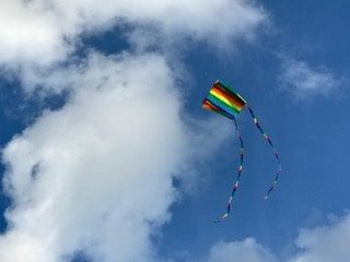 Rainbow kite
